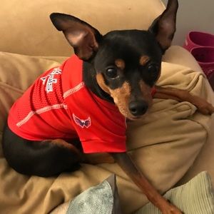 Meet your Posher, Kristin